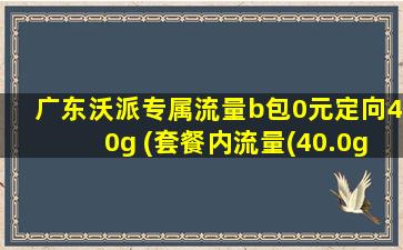 广东沃派专属流量b包0元定向40g (套餐内流量(40.0g))